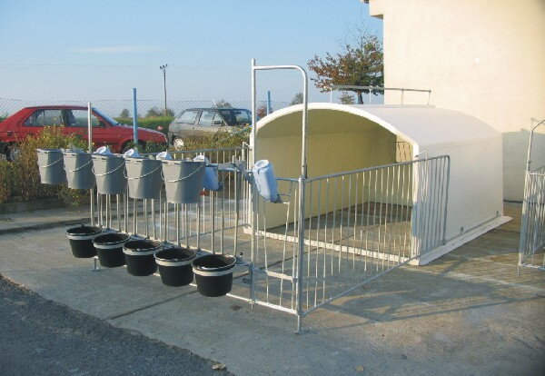 Búda skupinová - samostatná