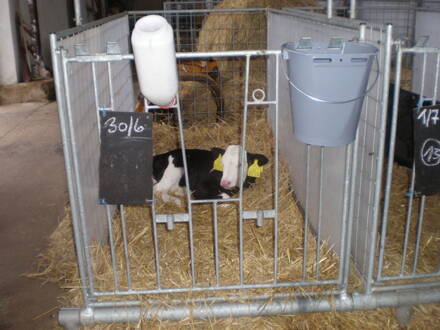 Individuálna ohrádka výklopná