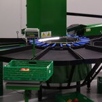 Váhy do sadov – Green Sort