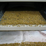 Separátor kvetov harmančeka RGK-H 600