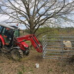 Odchytová klietka pre teľatá