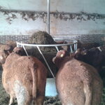 PRÍKRMISKO KRUHOVÉ DIAGONÁLNY PRIEMER 170