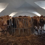 PRÍKRMISKO KRUHOVÉ SO SIEŤOU 170 CM