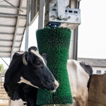 Drbadlo elektrické Pendulum Agricow