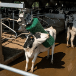 Drbadlo elektrické Pendulum Agricow