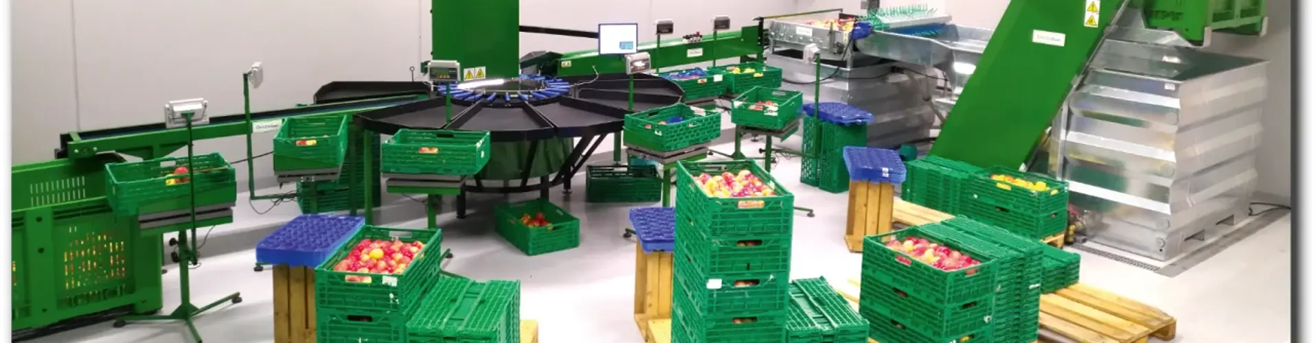 GREEN SORT