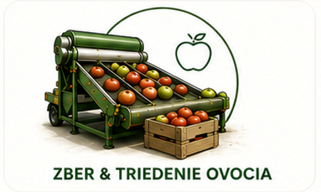 Zberač a triedič ovocia na automatizovanej linke pre spracovanie ovocia