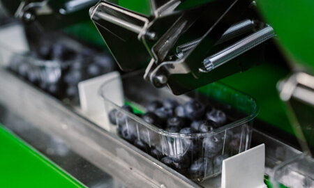 Kompaktný automatický triedič čučoriedok s NIR a AI technológiou