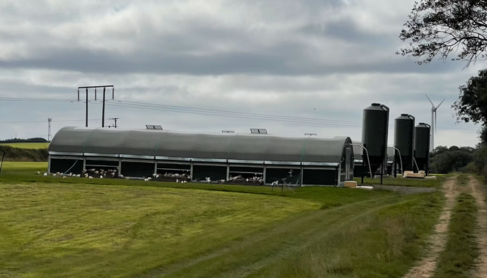 Kurníky pre 1000 brojlerov – ideálne riešenie pre úspech v chove hydiny